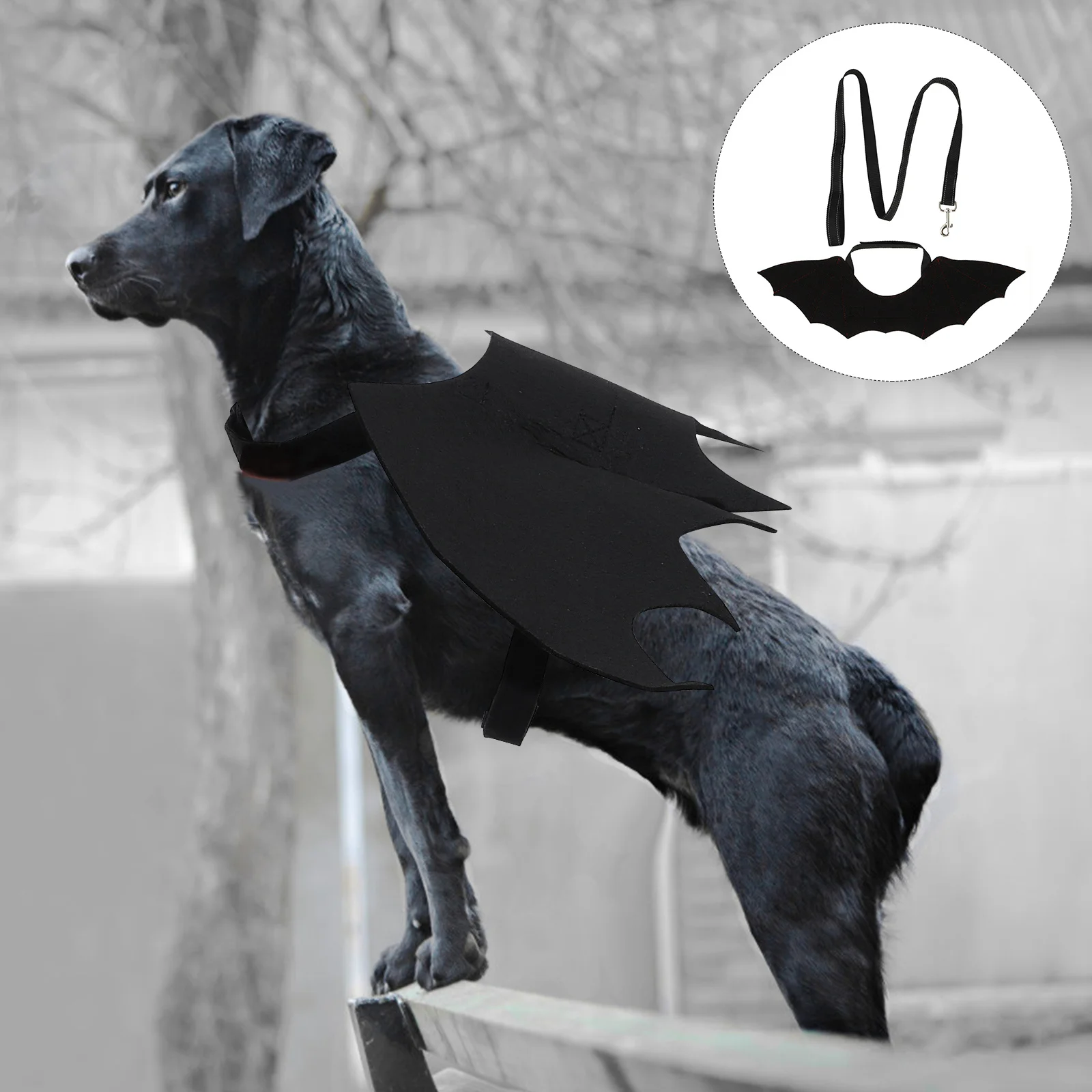 

Pet Leash Cat Chest Strap Halloween Decor Bat Wing Collar Comfortable Lightweight for Small Pets Walking Running Hiking