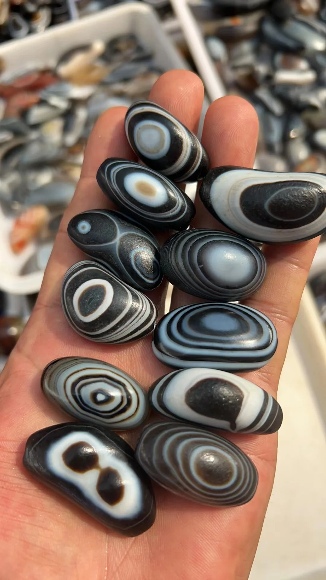 30pcs/lot Natural Striped Agate Eye Cow Sheep Horn Shaped Beads Wholesale in bulk Make necklace bracelets Ethnic accessories