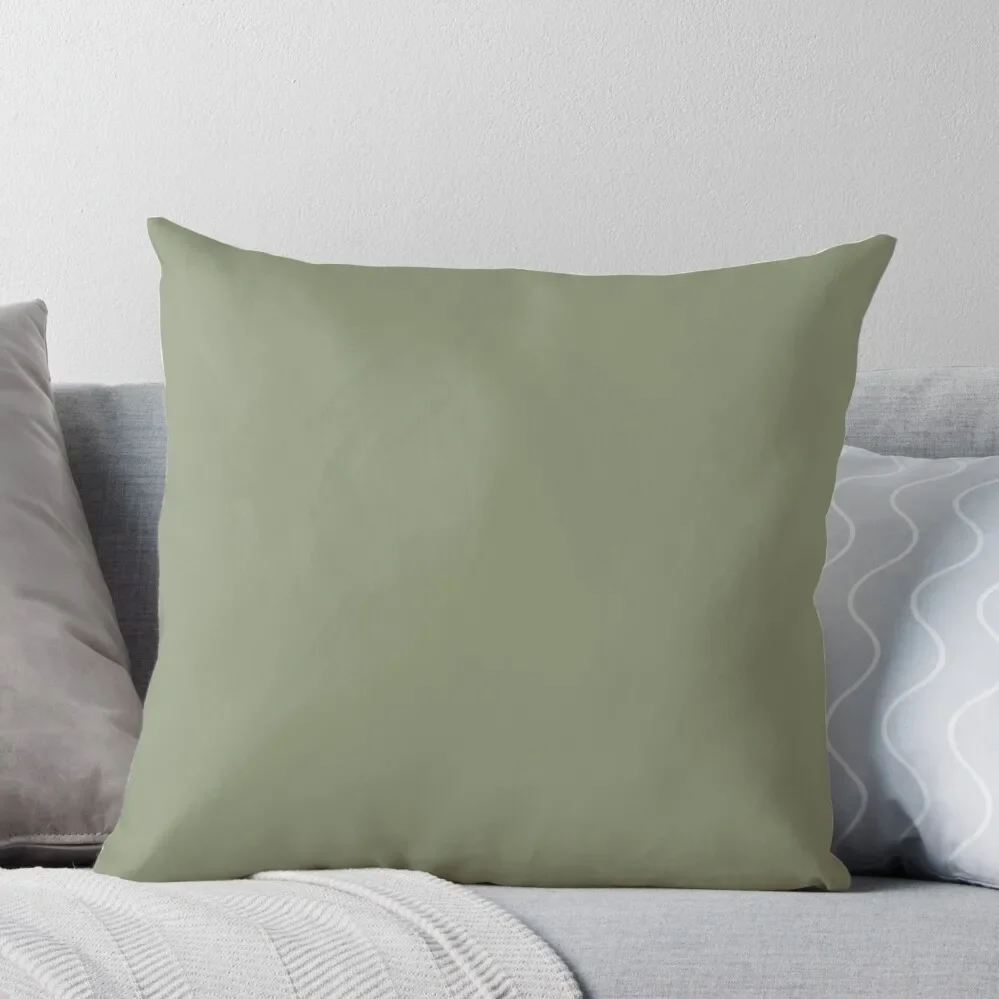 

Soothing Sage Throw Pillow Pillow Case Luxury Pillow Cover Christmas Pillows