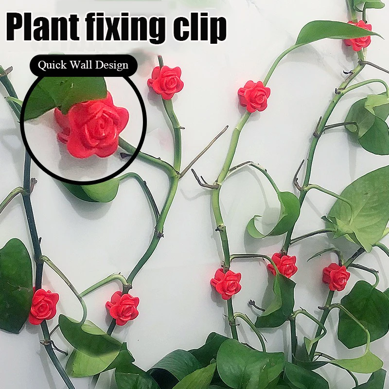 10/50Pcs Rose Pflanze Klettern Wand Halterung Clips Rattan Reben Fixer Selbst-Klebe Haken Unsichtbare Reben Klettern feste Wand Clip