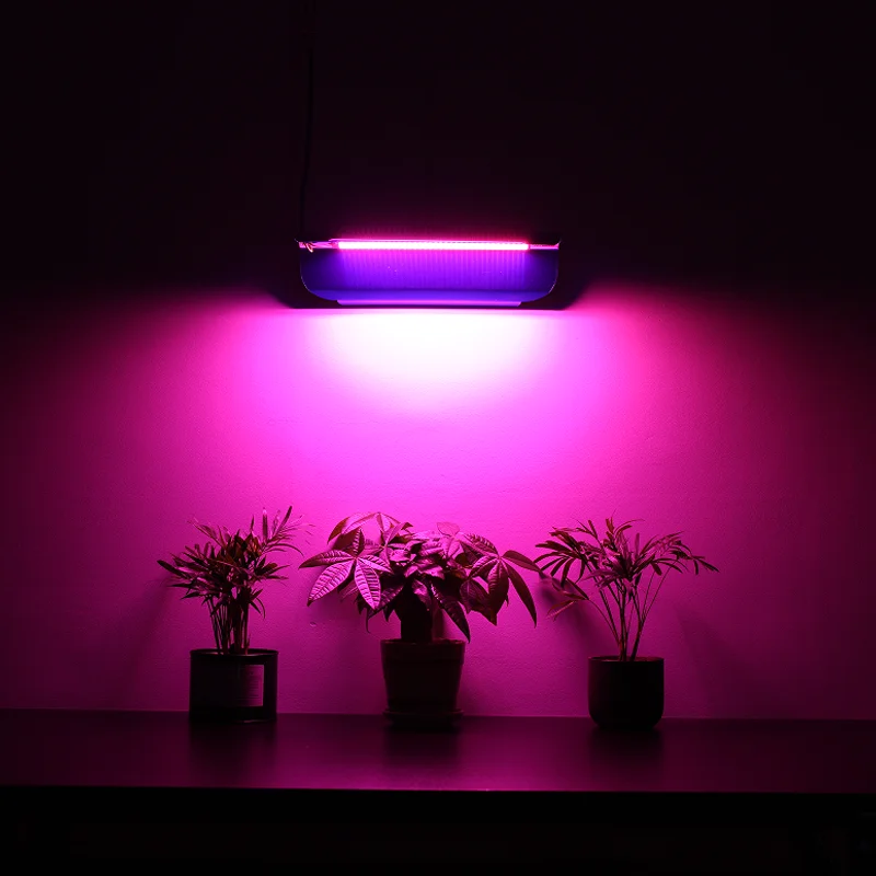 Imagem -05 - Led Grow Chip Phytolamp para Plantas Espectro Completo Led Grow Light Estufa Hidropônica Interior 220v 30w 50w 80w 10 Pcs