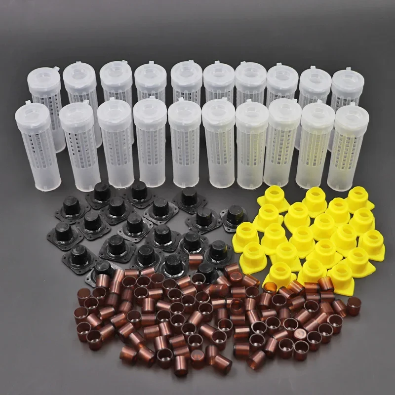 

Beekeeping Queen Bee Rearing Cupkit System Bee Beekeeping Catcher Box Cell Cups Cage Nicot Complete Kit Apicultura 1set
