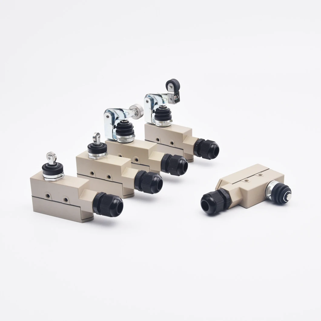 

ABILKEEN TZ-6001 TZ-6002 TZ-6003 TZ-6004 TZ-6101 TZ-6102 TZ-6104 TZ-6106 TZ-6143 1NO1NC IP65 Водонепроницаемые концевые выключатели дверей