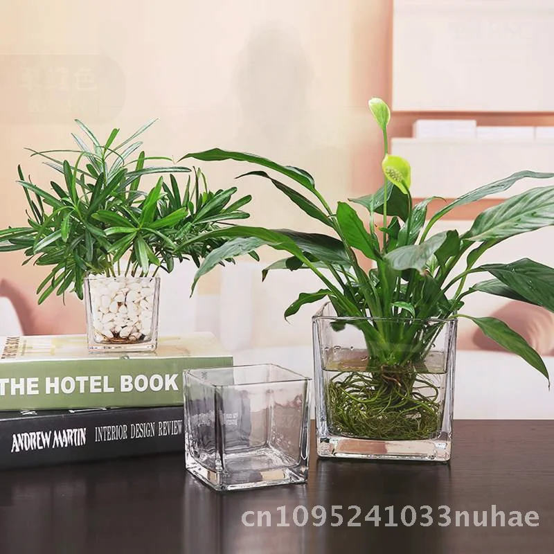 

Transparent Thickened Glass Square Vase Cylinder Modern Minimalist Flower Pot Home Decoration Hydroponic Swing Ceramsite