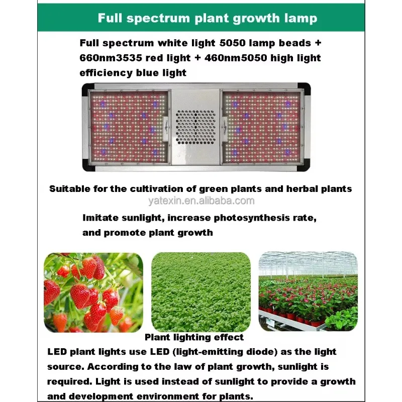 Soffitto per interni da 800 W LED Doppio modulo Luce per la crescita delle piante Completo bianco blu Integratore in alluminio per stock di fabbrica per piante da interno