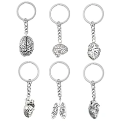 3D Organs Pathologist Keychain Fashion Brain Organ heart Key Holder Neurologist Human Body Parts Pendant Keychain Jewelry