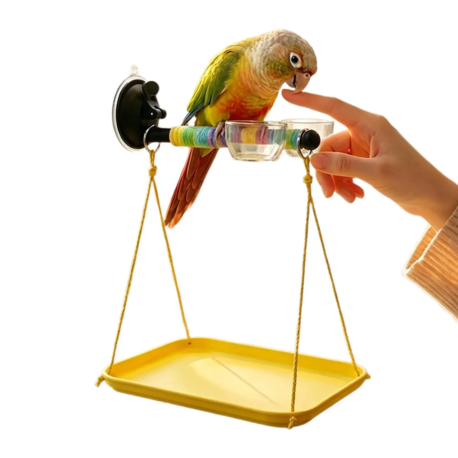 Bird Window Perch Suction Cup Interactive Toy Bird Window And Shower Perch Toy for Parakeet Cockatiel Conure Parrot Lovebirds view 2