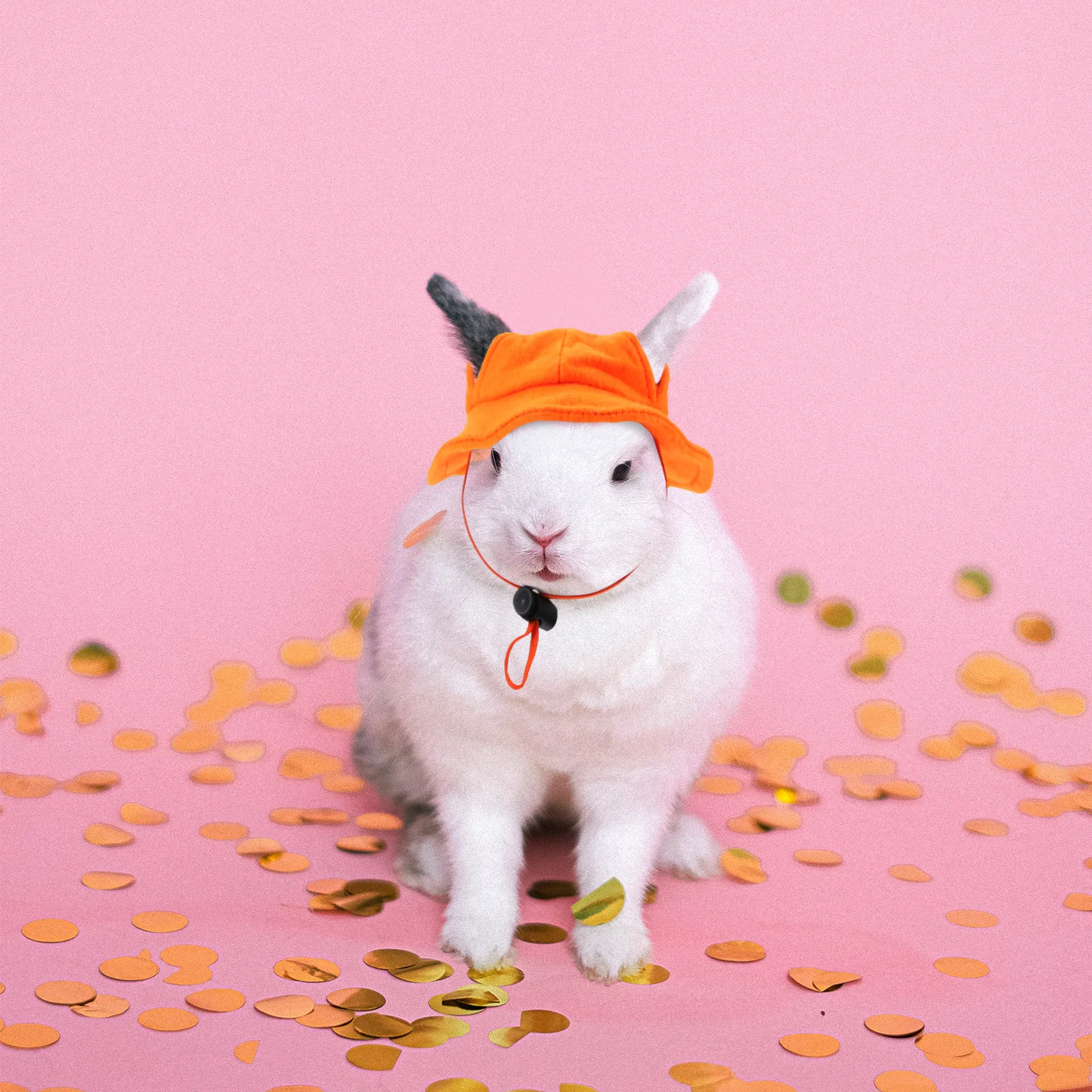

Pet Orange Hat Hats for Bunnies Bunny Small Animal Rabbit Clothes Ferret Pets Mini Animals