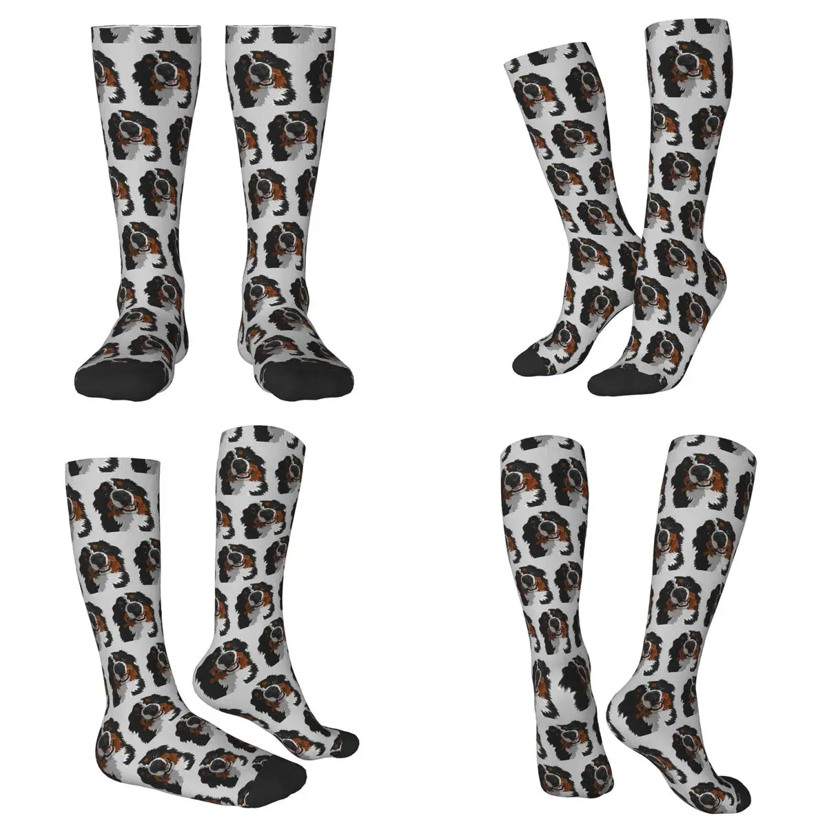 

All Seasons Bernese Mountain Dog Socks Harajuku Crew Socks Fashion Stockings for Men Women