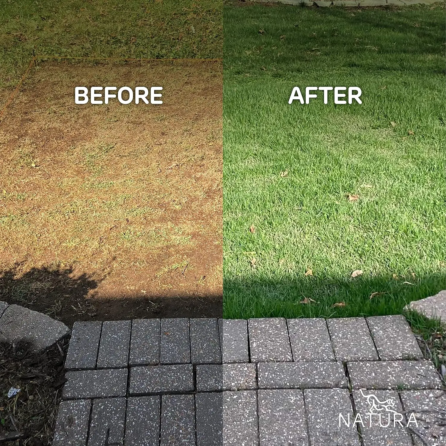 PowerRun 10376807 عشب صناعي خارجي للكلاب، رقعة عشب العشب يمزجها مع العشب، تحافظ على الكفوف والمنزل #6