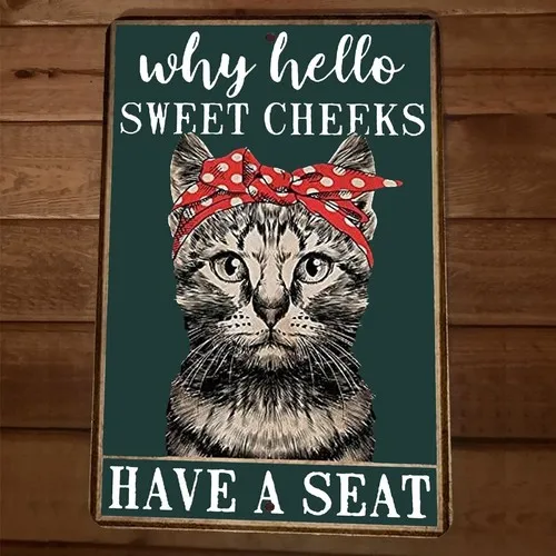 Hello Sweet Cheeks Have a Cat  Metal Wall Sign Animal Poster