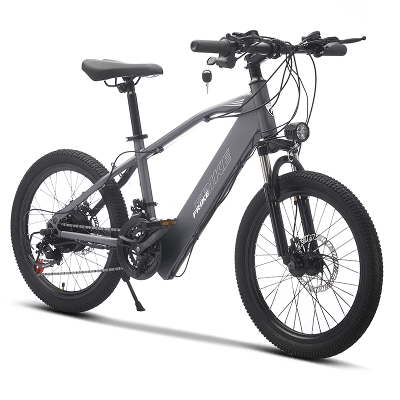 Factory Direct Sales FRIKE Electric Mountain Bike Kids Hot Sale Electric Mountain Bike for Kids Riding Light Mountain E-bike image 7