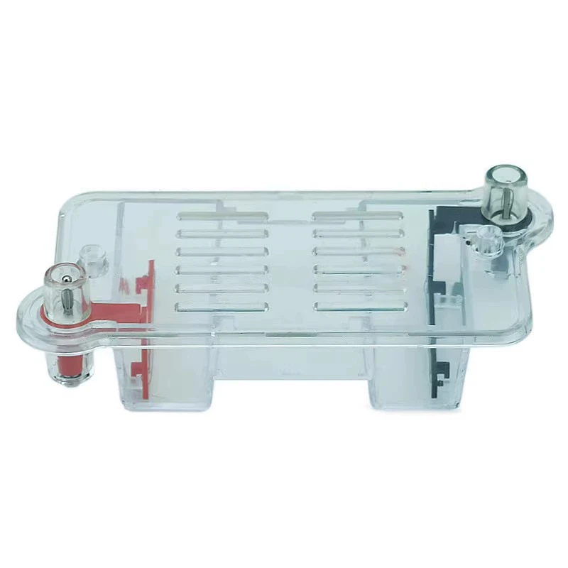 

Горизонтальный электрофорезный аппарат для гель-экспериментов, биологический учебный инструмент, экспериментальное учебное оборудование