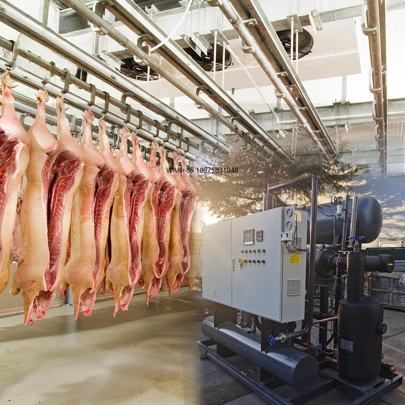 Cold Storage Room Slaughter House Refrigeration Equipment Slaughtering Blast Freezer Equipment Cold Room