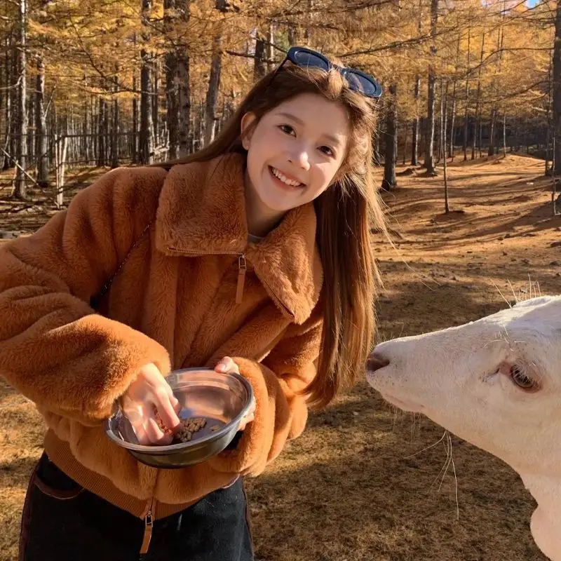 

Korean Style Women's Plush Jacket 2025 Fall Winter New Eco Faux Fur Thick Faux Shearling Short Coat Lapel Collar Brown