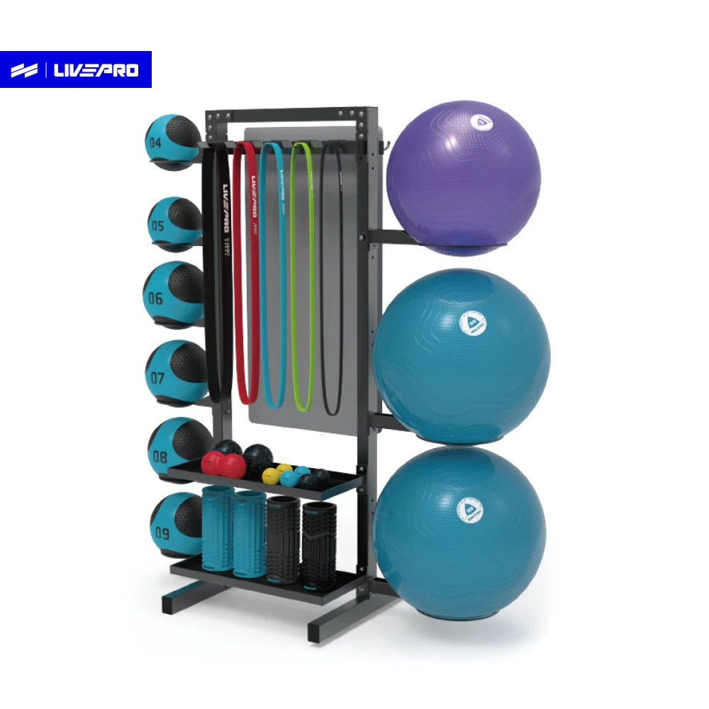 

Commercial Multifunctional Gym Storage Rack Storing Medicine Balls Yoga Balls Hanging Exercise Fitness Ball Storage Rack