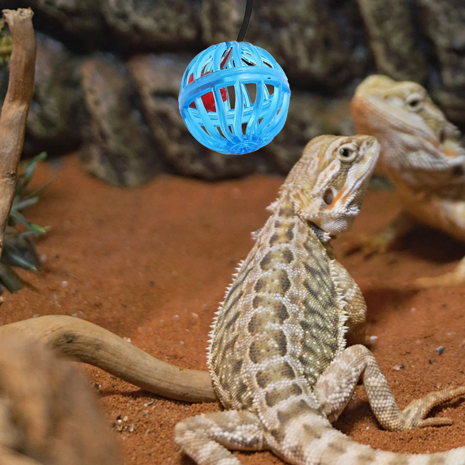 

7Pcs Wear Resistant Reptile Bell Ball for Lizard Gecko Bearded Dragon Hanging Climbing Boredom Relief Sucker Mount Fun