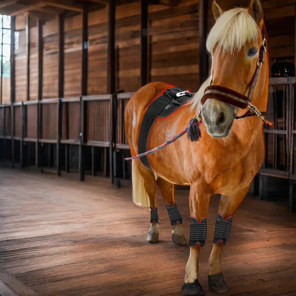 Red Light Therapy Belt for Horse Equine LED Light Therapy for Pain Relief Horse Care Product