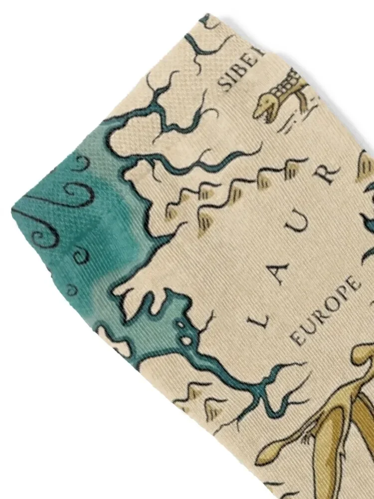 map of the supercontinent Pangaea Socks Men's football designer hiphop Socks Men's Women's