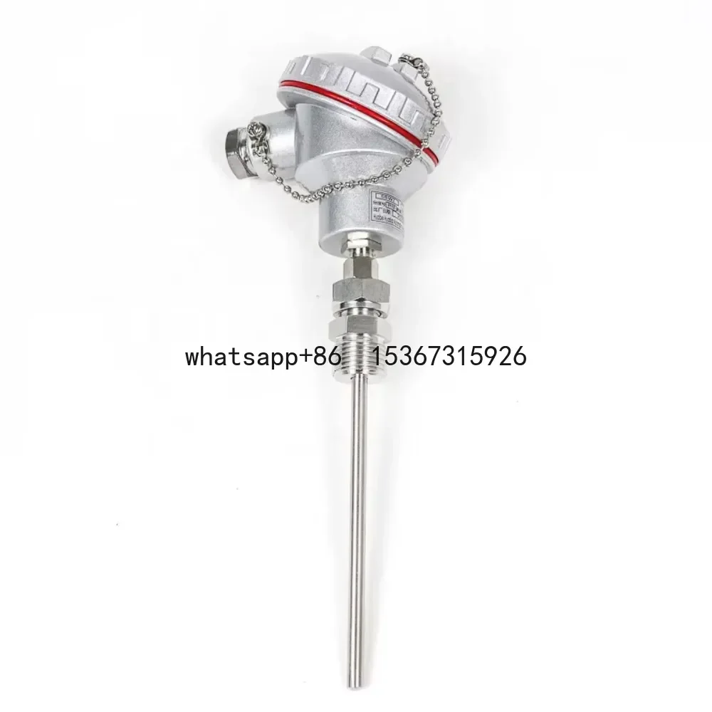 PT100 temperature sensor 2wire pt100 thermocouple 0-600cc