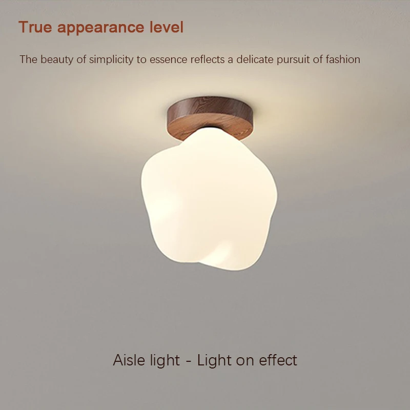 الشمال LED ضوء السقف ستار المدخل شرفة الجدار مصباح إضاءة داخلية غرفة نوم المعيشة غرفة الطعام الديكور أضواء السقف #3