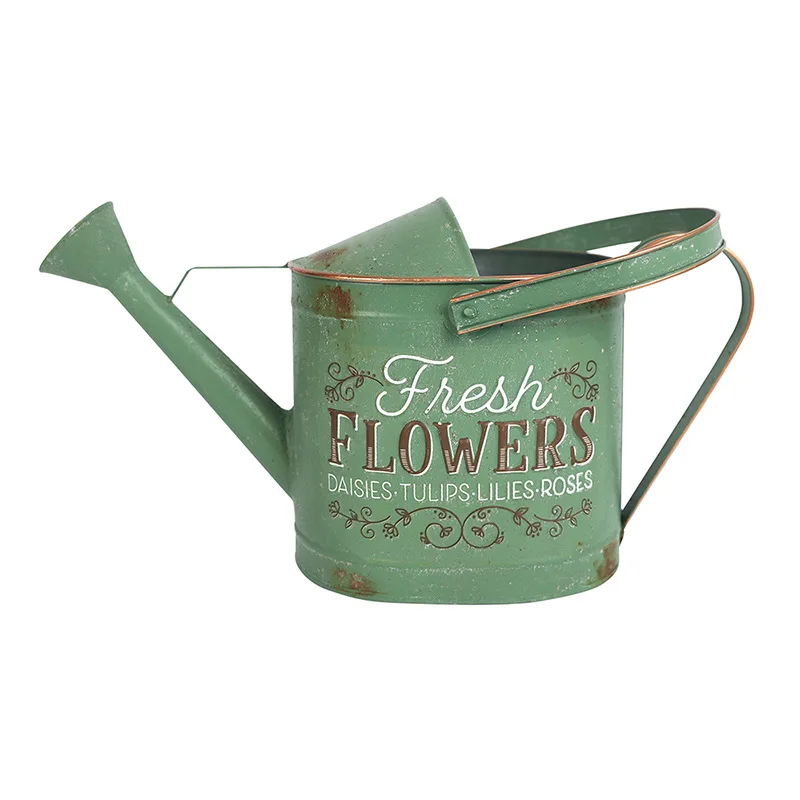 

Кувшин для полива из кованого железа с длинным носиком, высококачественный бытовой кувшин для полива суккулентов, садовые инструменты, большая емкость