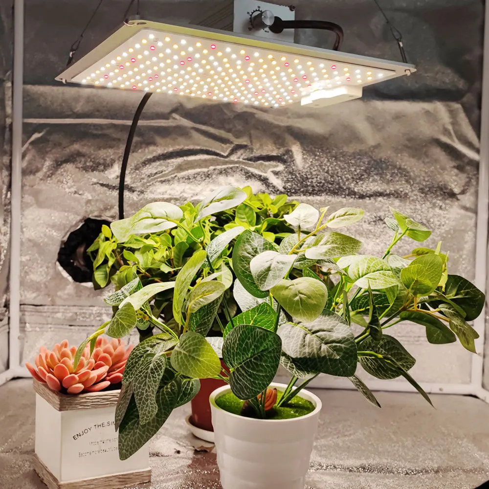 Luz LED de cultivo de 600W LM281B, enchufe europeo, tablero cuántico de espectro completo, fitoamplificador para interior, vegetales y floración, lámpara de cultivo de flores de invernadero