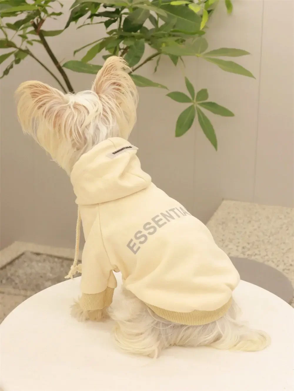 Pet Winter Autumn Dog Clothes，Warm Coat Clothes For Small Large Dogs and Cat，Sweatshirt French Bulldog Warm Puppy Clothes