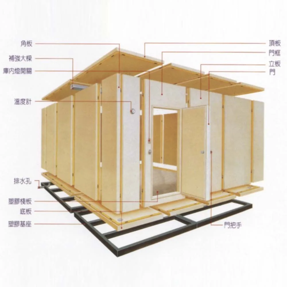 Frutta Verdura Carne Pesce Congelatore Camera Fredda