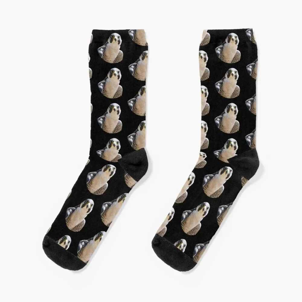 Peregrine falcon Socks Stockings compression happy custom Male Socks Women's