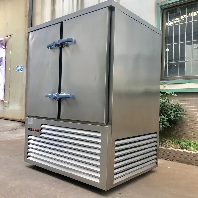 Cheap High Efficient Medium air IQF Blast Quick Flash Chiller Freezer for Chicken Meat Vegetable Fish Durian Pizza