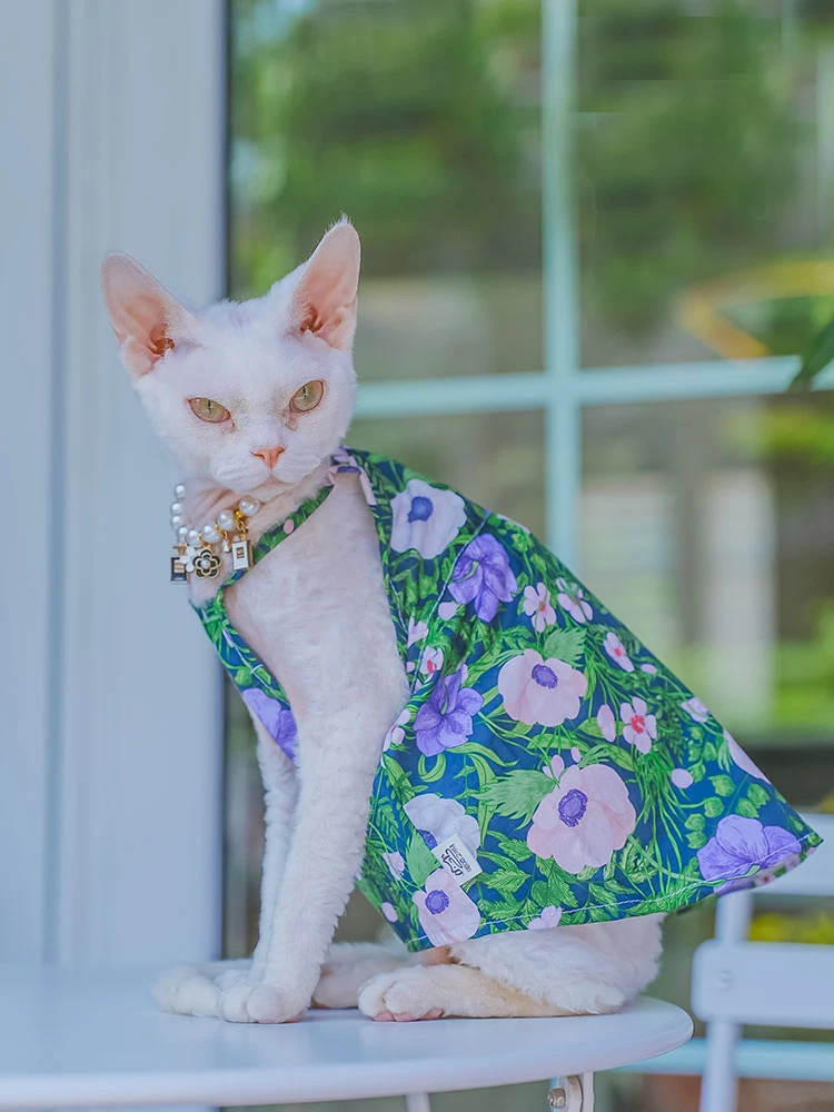 Colete de algodão para gato Sphynx, camiseta sem mangas para gatinhos, macacão macio para Devon Rex, primavera gato suprimentos, verão