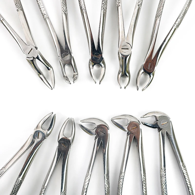 High Quality Dental Adult Tooth Extracting Extraction Forceps Set of 10 Pcs