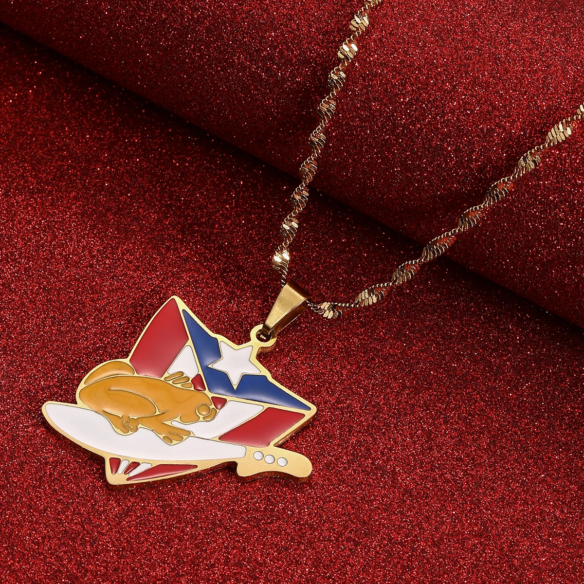 Puerto Rico Map Frog Pendant Necklaces PR Puerto Ricans Jewelry