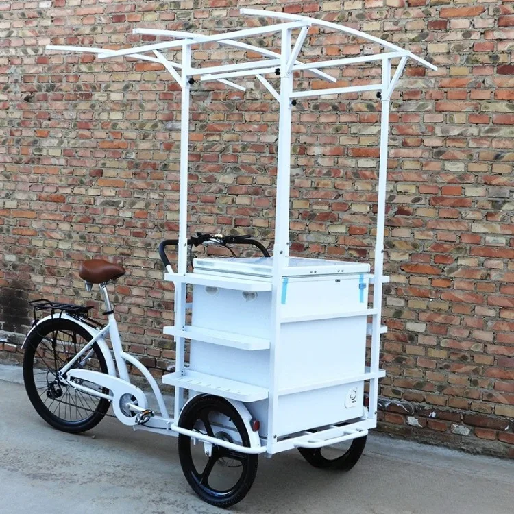 

26-Inch solar refrigerator sells tricycles by pedaling upside down