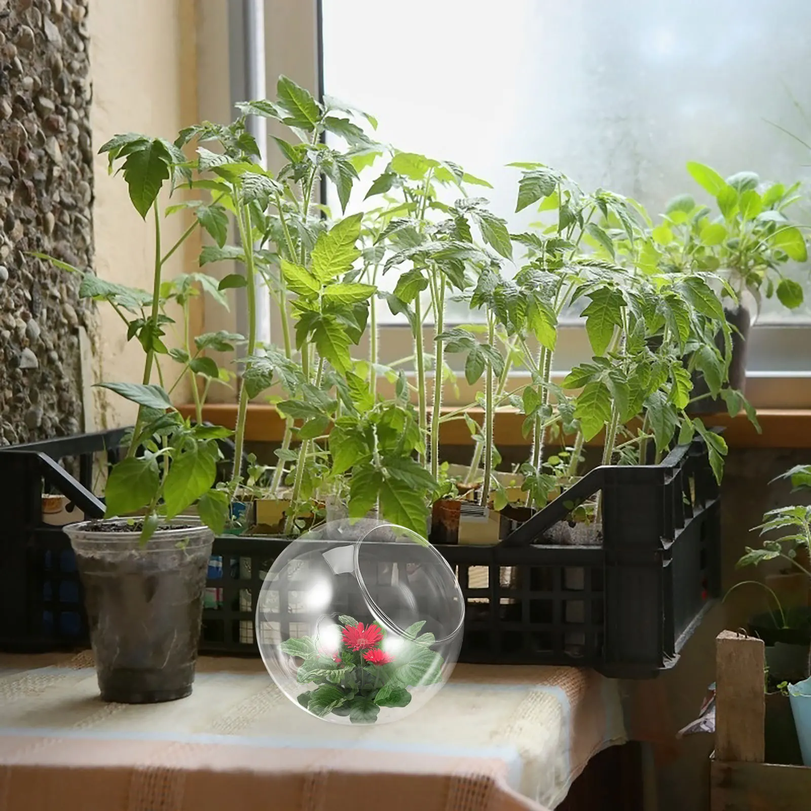 

1Pcs Glass Vase Transparent Oblique Mouth Creative Micro Landscape Adornment Indoor Outdoor Hanging Decor Wedding Party