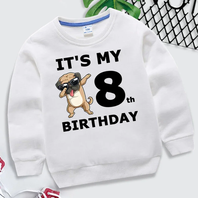 Cartoon Dogs Kid Sweatshirts Birthday Number 1-10 Children Pullover Happy Birthday Boy Girl Hoodie Casual Clothes Baby Tops