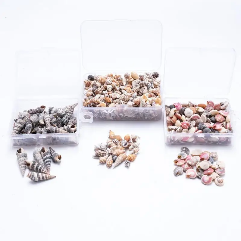 1 Box Sea Shells Spiral Shell Tiny Ocean Spiral Seashells Crafts Aquarium Decoration Landscaping Accessories Photography Props