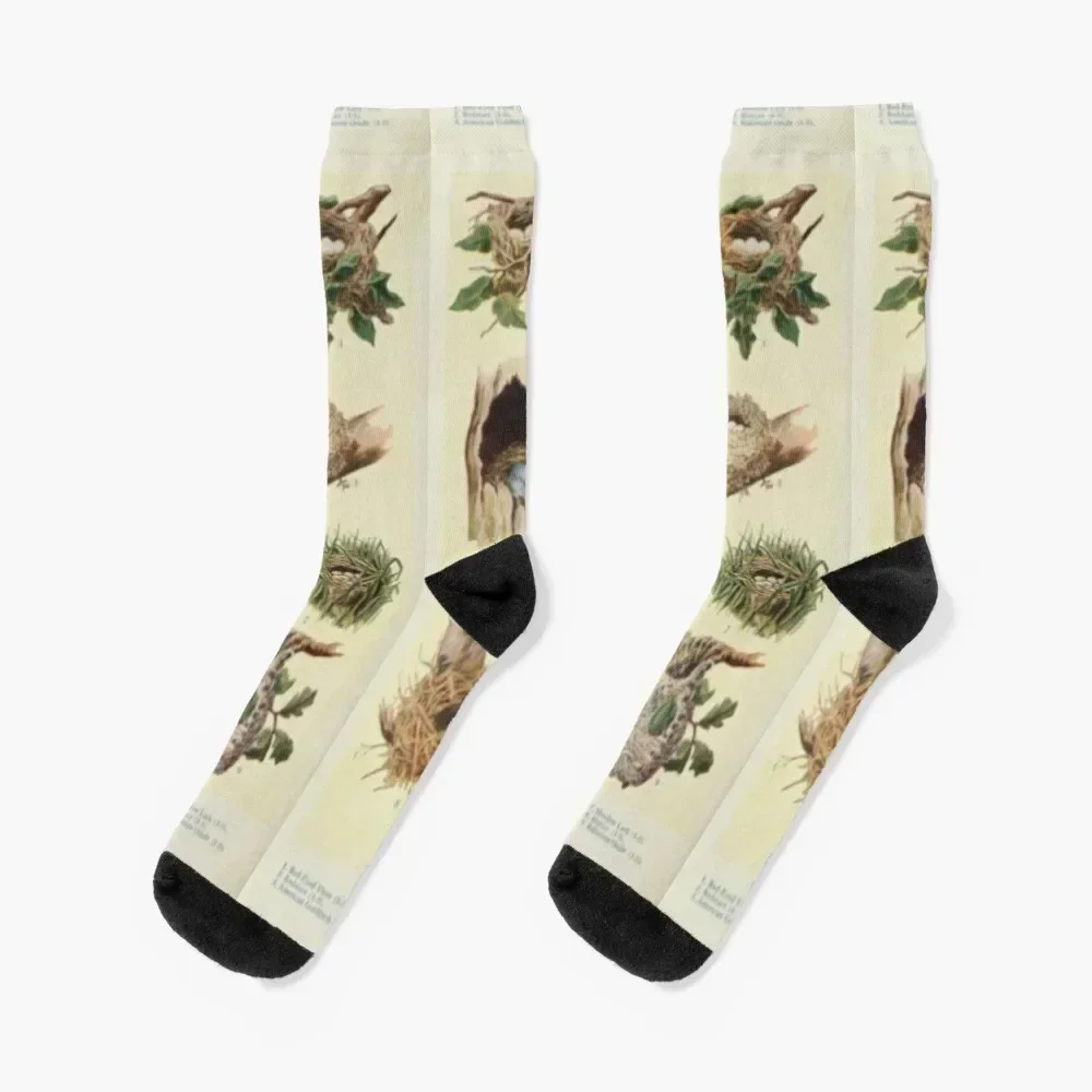 

Naturalist Bird Nests Socks short cute Sports sport Men Socks Women's halloween set warm winter Mens Socks Women's