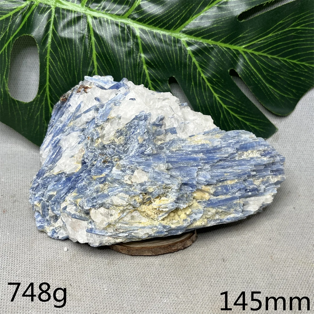 Austrian Kyanite Natural Gemstone Blue Crystal Original Mineral Specimen Home Room Decoration Collection Crystal Healing