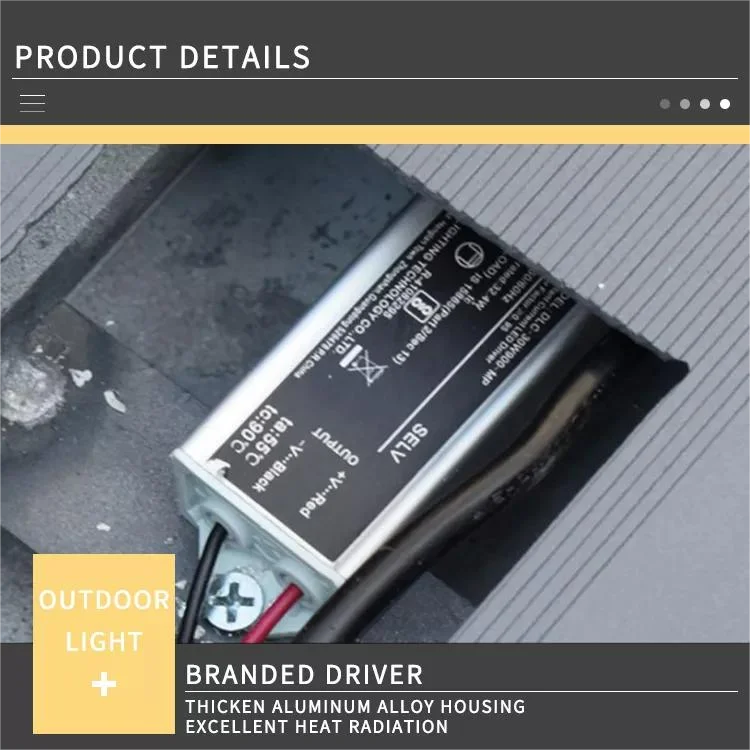 Professional Manufacture Outdoor Decorative Street Lamp Post 50W LED Garden Pole Light