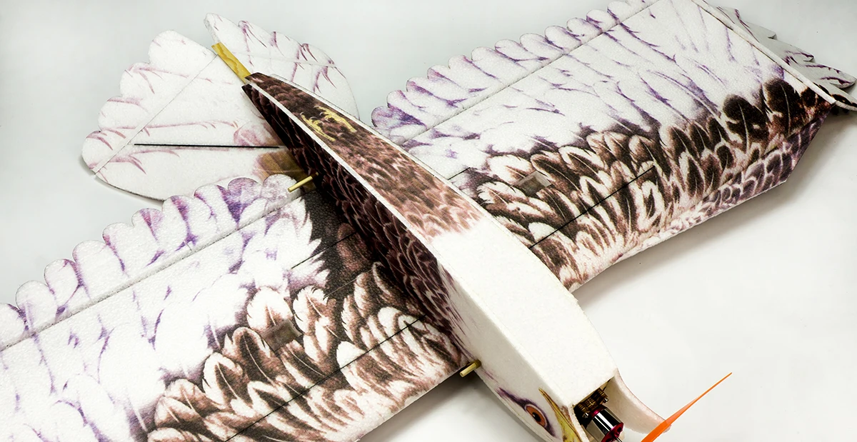 DW هوبي إيجل II EPP طائرة طائرة مزودة بجهاز للتحكم عن بُعد عدة رغوة مع MM2216 920KV موتور النسر نموذج طائرة التحكم عن بعد E19