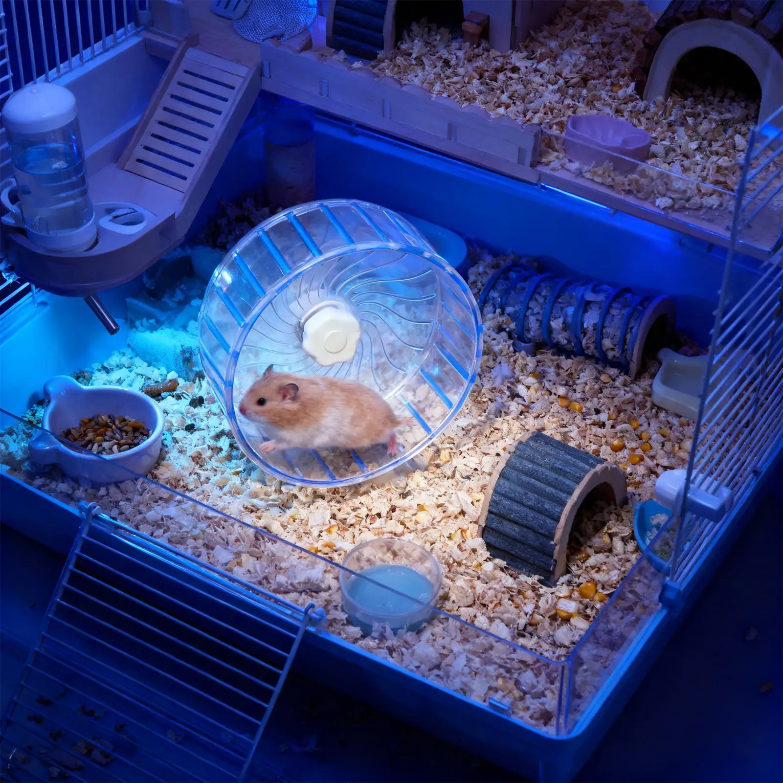 عجلة الجري الهامستر ذات المحمل المزدوج قفص صامت سبينر جربيل الحيوانات الصغيرة ممارسة لعجلة الجري الهامستر القزم للفئران