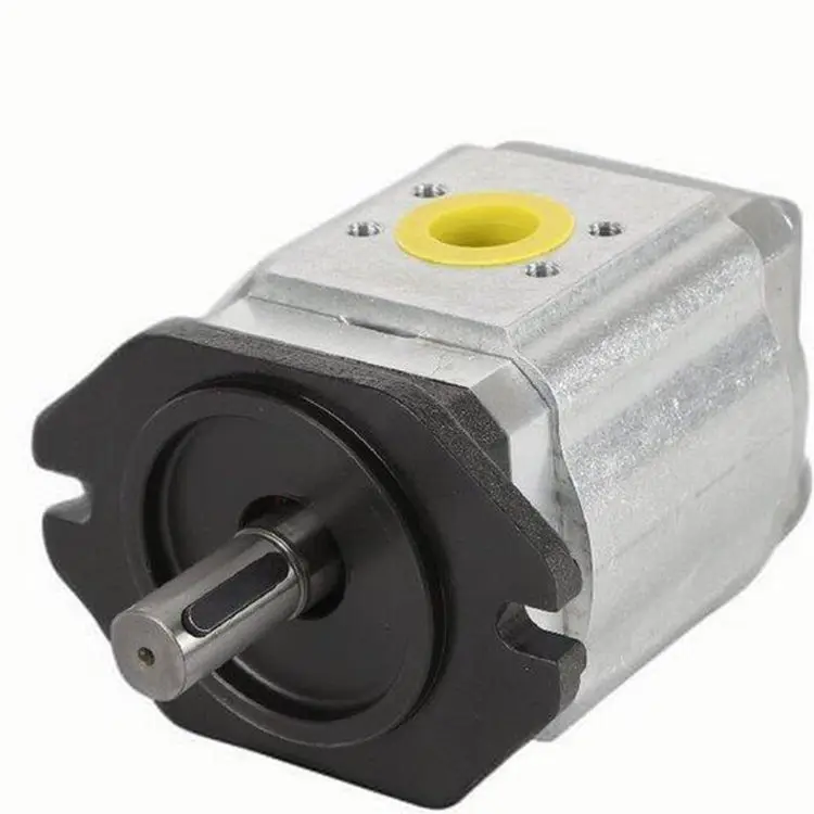 Gear pump 890-E1-1000-RS2-C502 - Hydraulic pump for injection molding machine 890-EI-0640