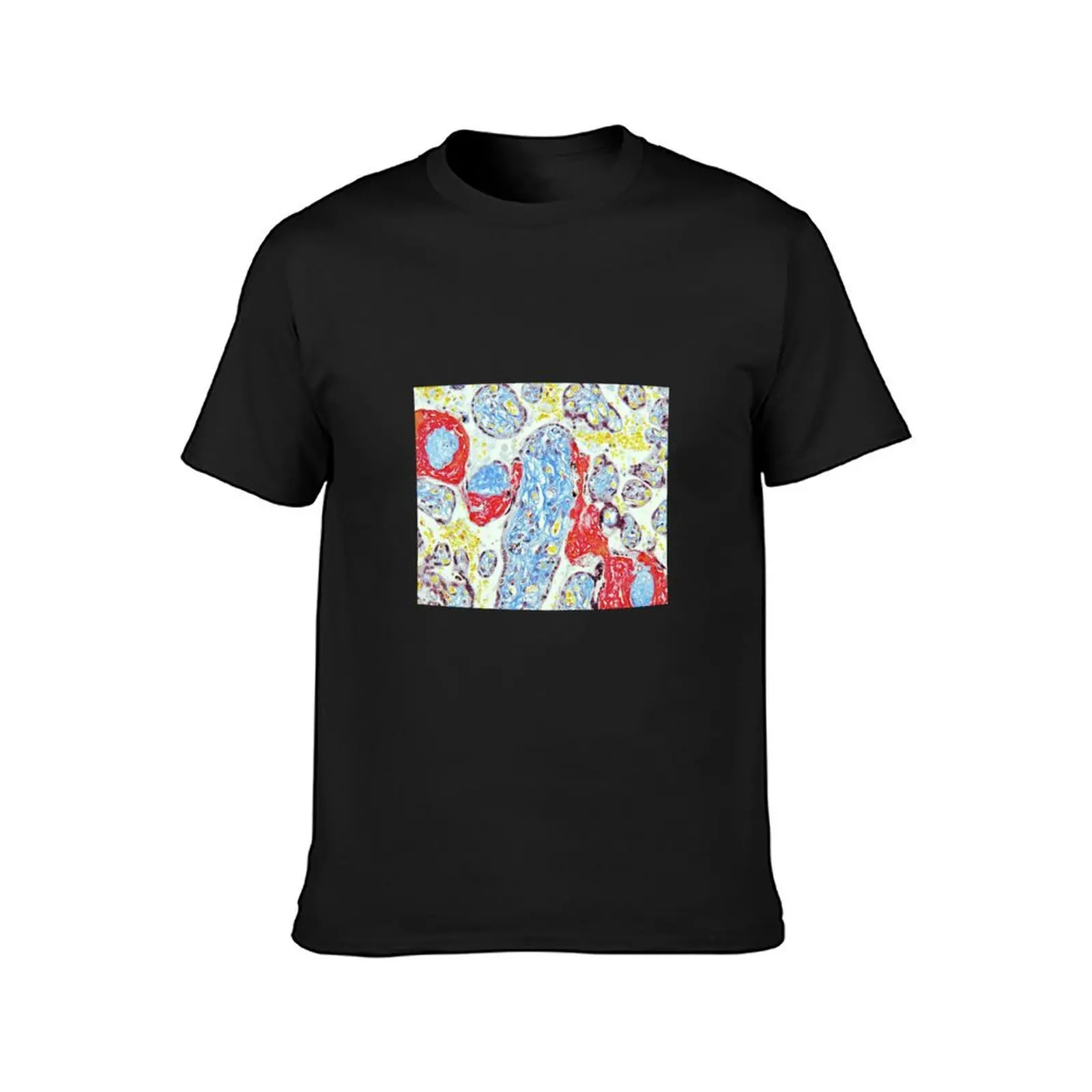 Placenta - Trichrome stain T-Shirt customs custom shirt oversized mens t shirt