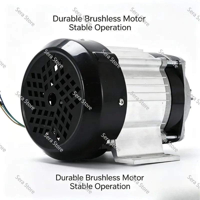 24V 500W Permanent Magnet Brushless DC Motor Electric Drive Motor For Heavy Load Cargo Electric Tricycle Three Wheeler