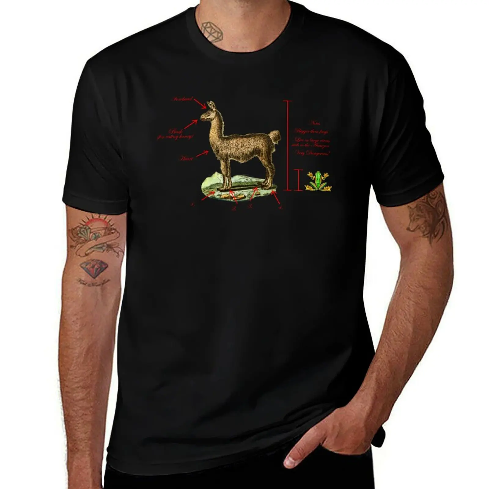 La llama est un quadrupedo T-Shirt man t shirt cotton T-Shirt