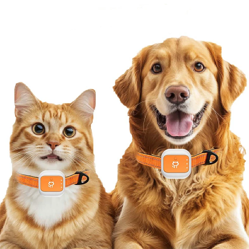 traceur-gps-pour-animaux-de-compagnie-g01-4g-lte-etanche-ip66-avec-25-jours-d'autonomie-en-veille-suivi-en-temps-reel-pour-chiens-et-chats-cloture-electronique-anti-perte