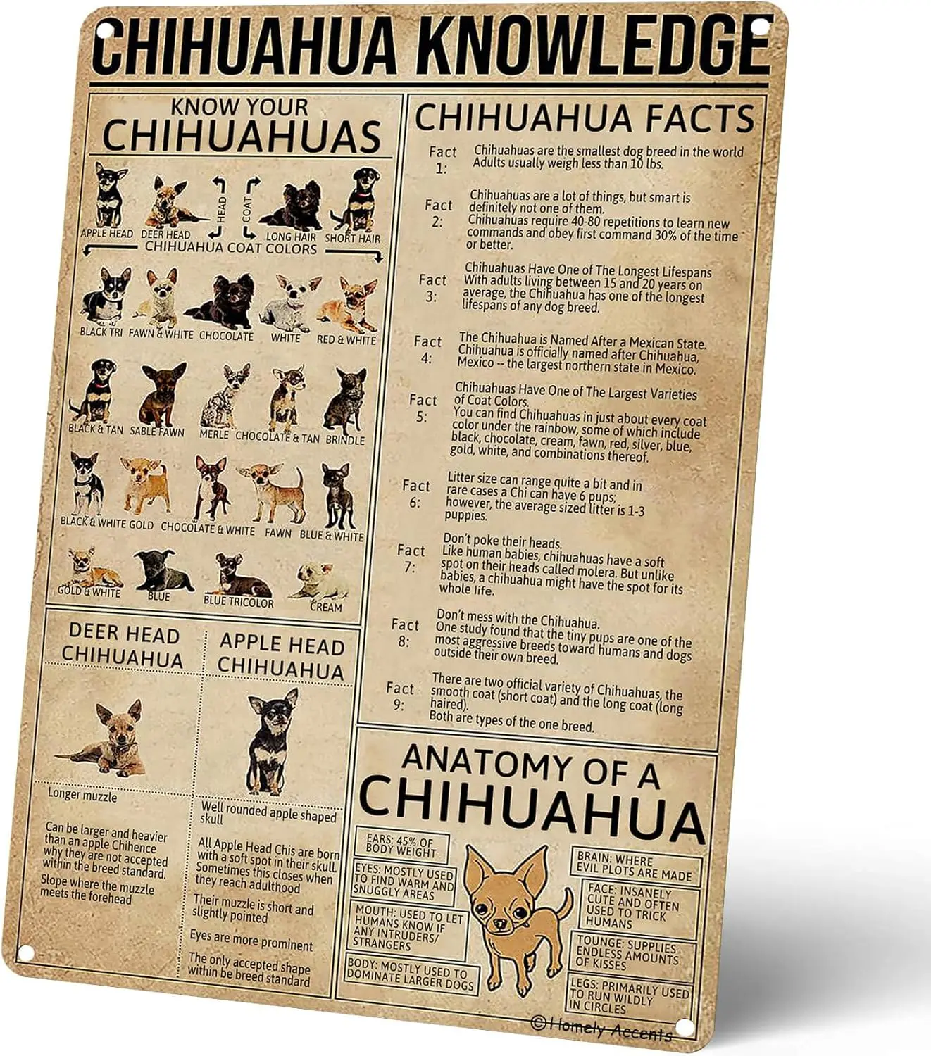 Homely Accents Chihuahua Knowledge Poster Vintage Metal Tin Sign, Décoration Murale Éducative pour Magasin d'Animaux, Bureau, Salle de Bain, Cadeau pour les Amateurs de Chiens