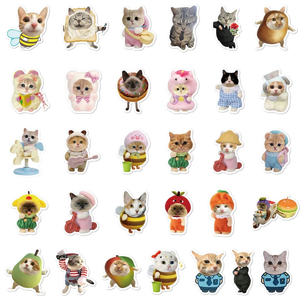 10/30/62pcs 만화 귀여운 고양이 낙서 스티커 재미 있은 동물 Meme 데칼 스케이트 보드 전화 수하물 기타 방수 DIY 스티커